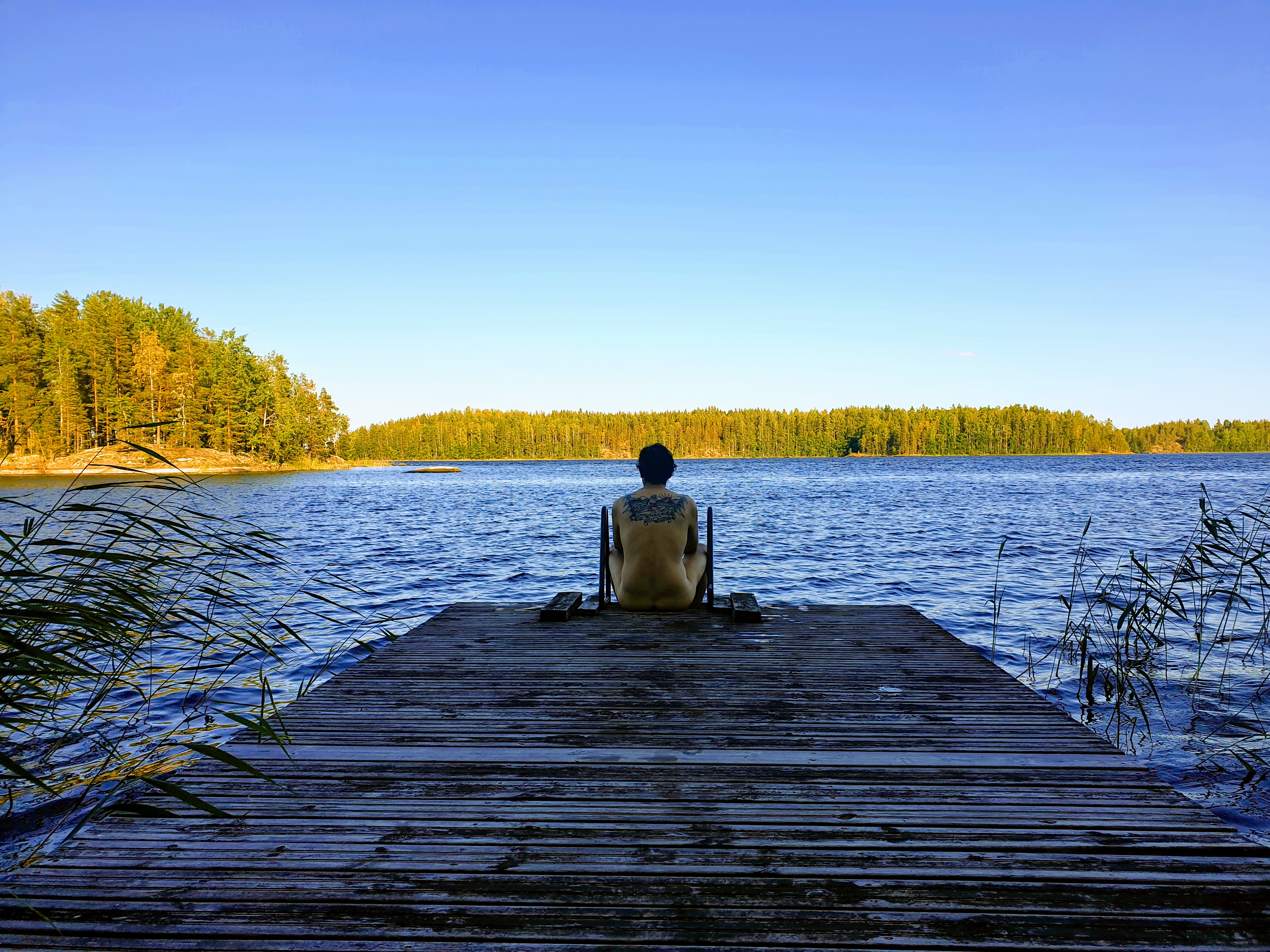 Finland: Sauna In The Wild Woods