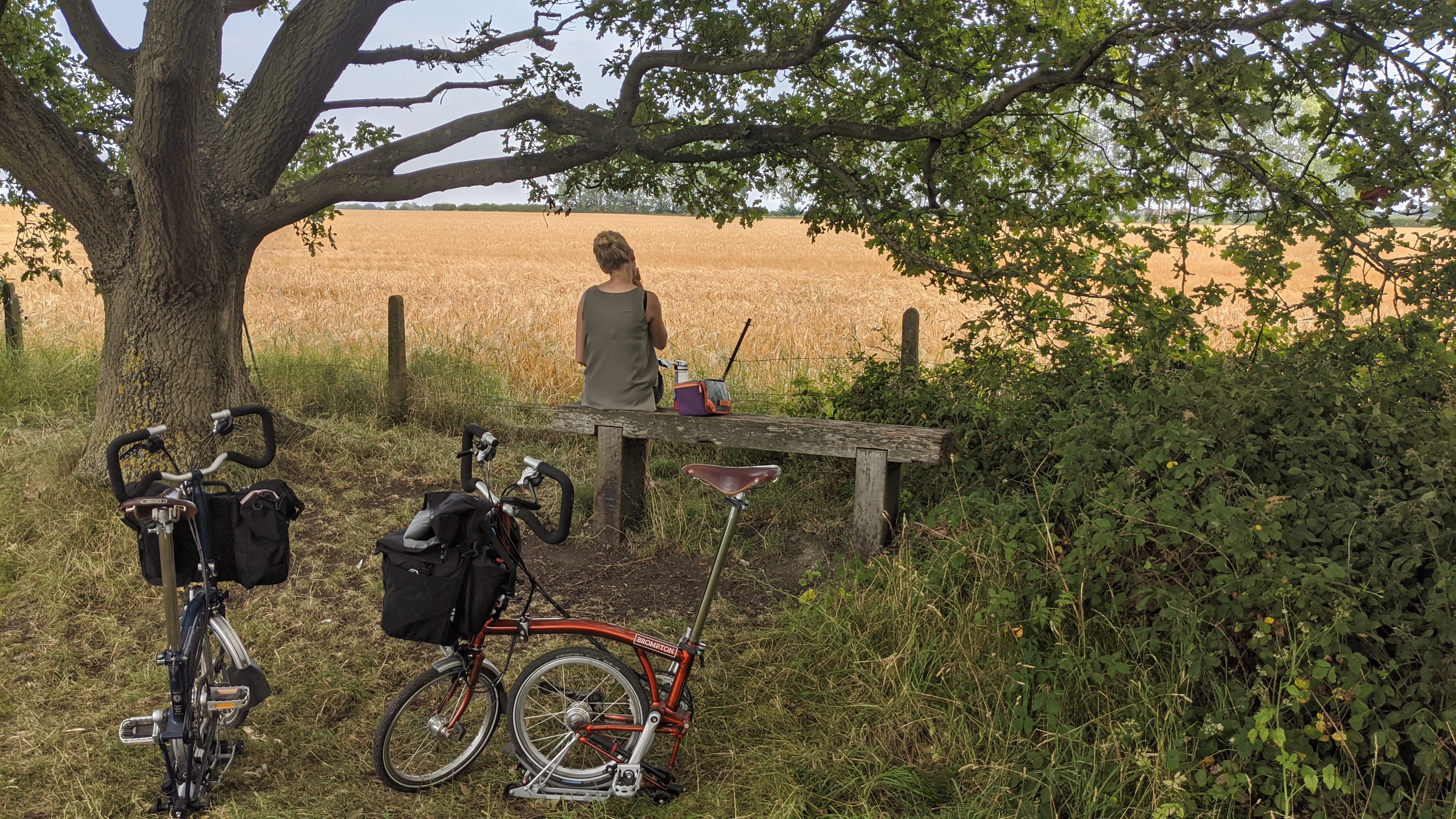 Bromptons on the family friendly Sustrans Route 65