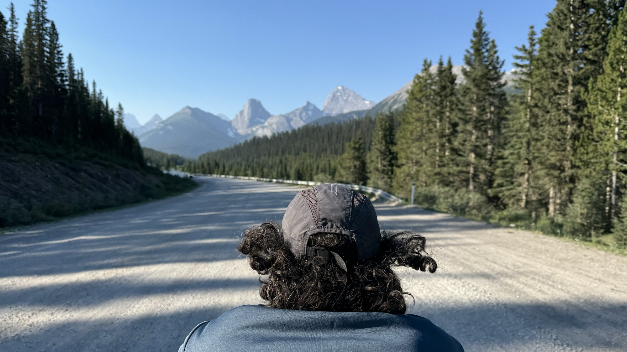 GDMBR / The BC Trail Part 4 – Grizzly Sighting