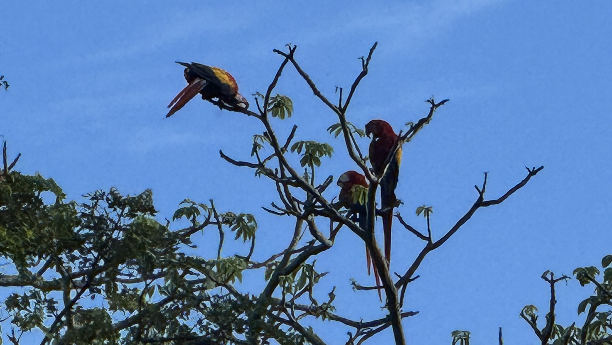 Costa Rica: Pt 12 – Stunning!